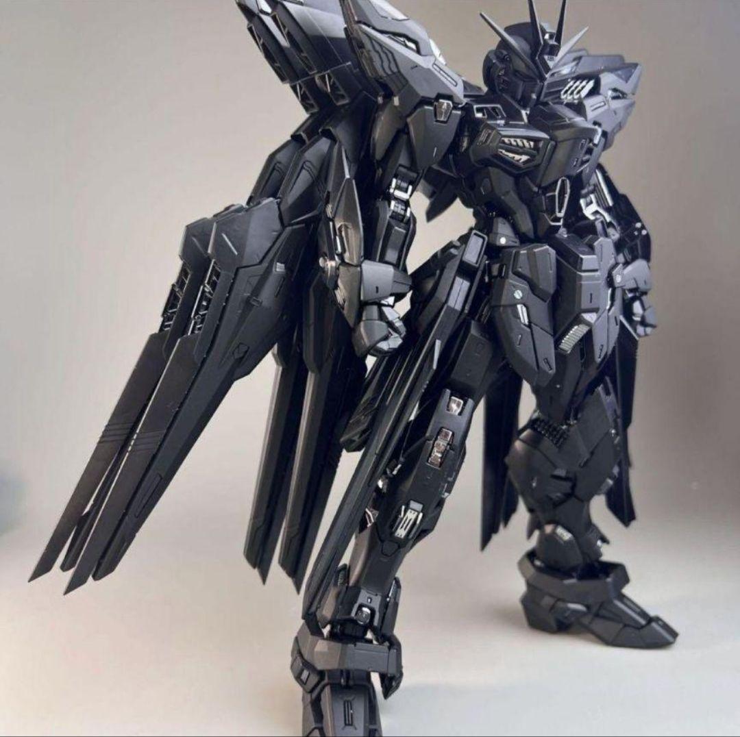 MGEXストライク・フリーダムガンダム ミッドナイトコーティング.Ver