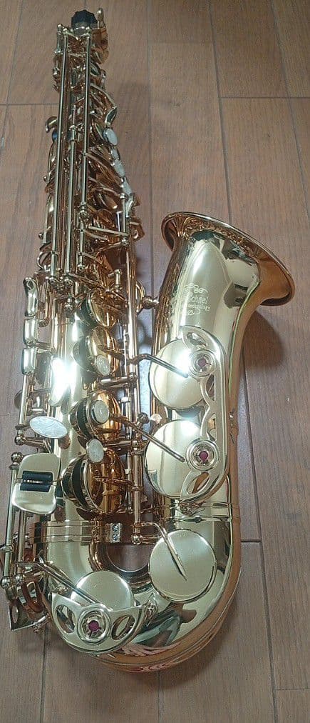 J.Michael　Jマイケル　アルトサックス　美品　付属品充実　初心者向け