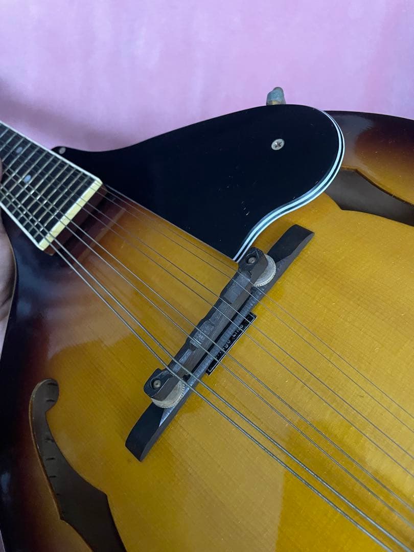 あおちゃん【希少】BlueBell フラットマンドリン 高級 FM-25