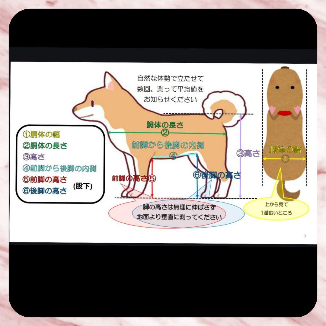 ワンちゃん4輪　食事補助　犬用車椅子　体制維持　犬の歩行器　介護用