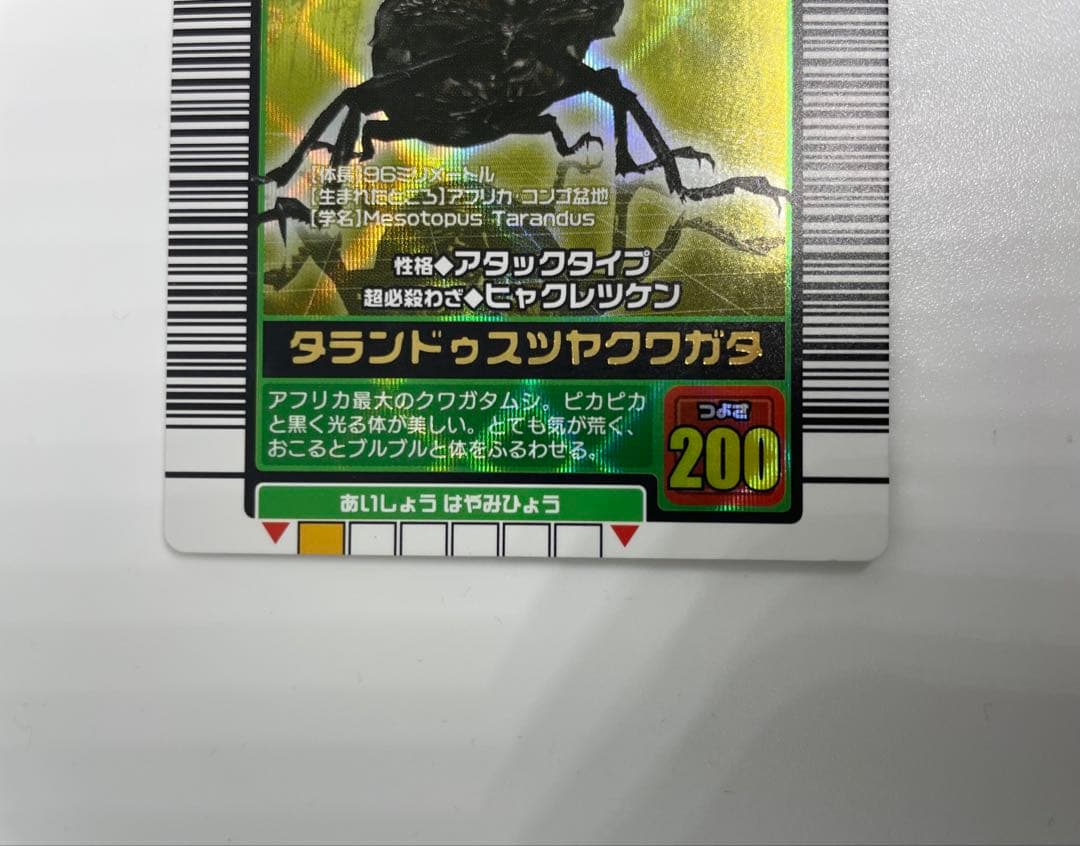 ムシキング　タランドゥスツヤクワガタ