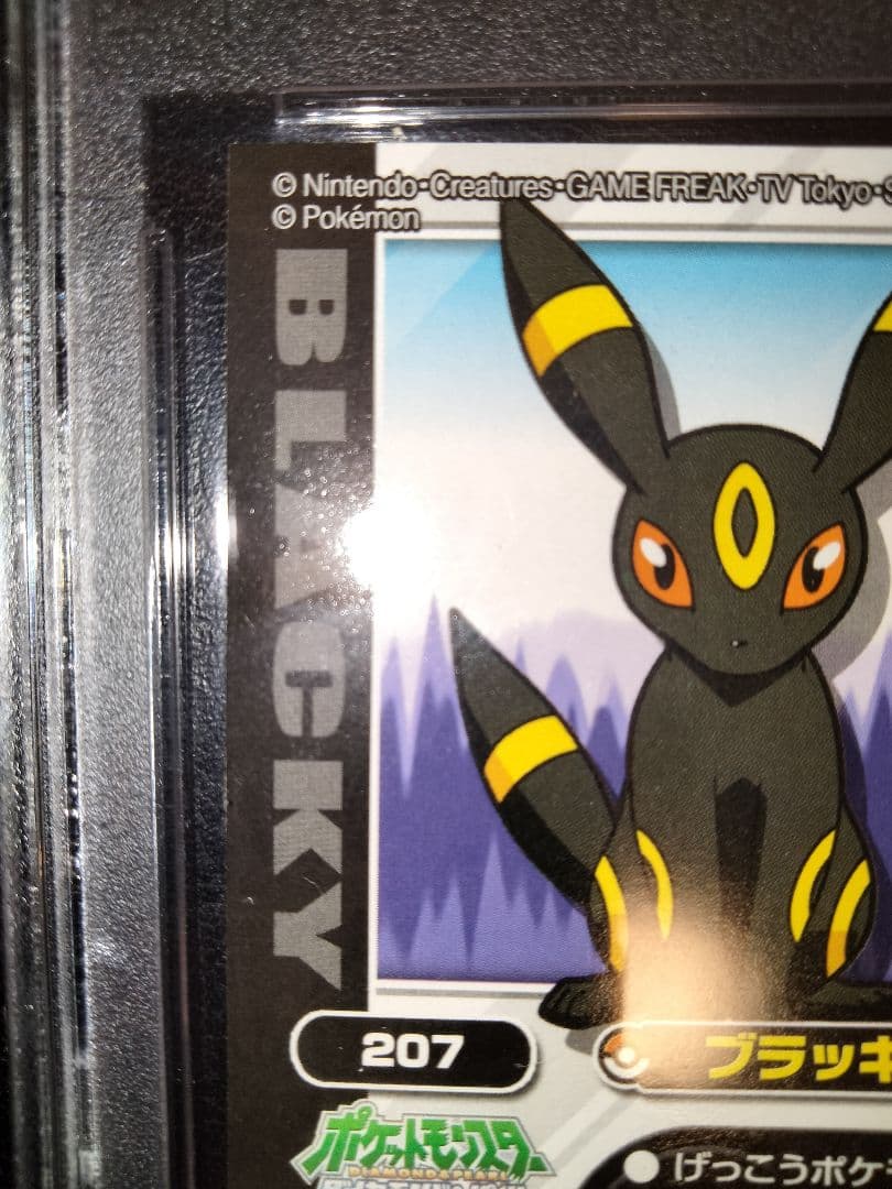 ブラッキー　ポケモンキッズ　シール　psa9