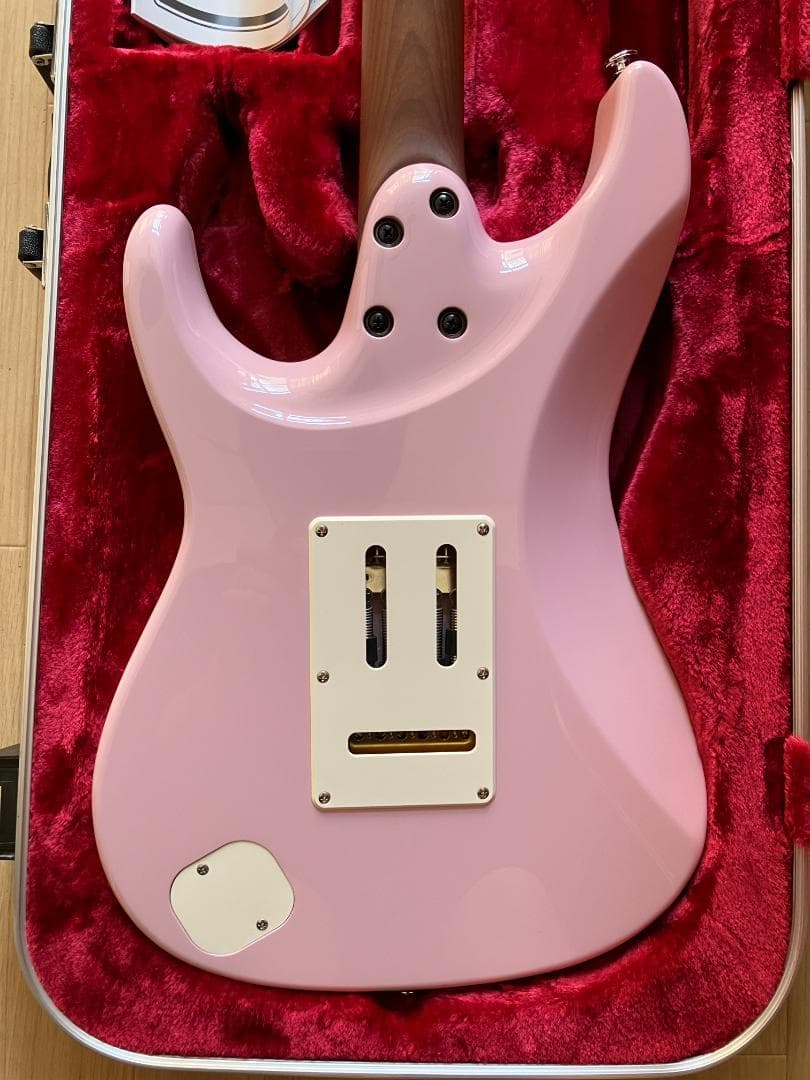 ギター Ibanez AZ2204NW PPK