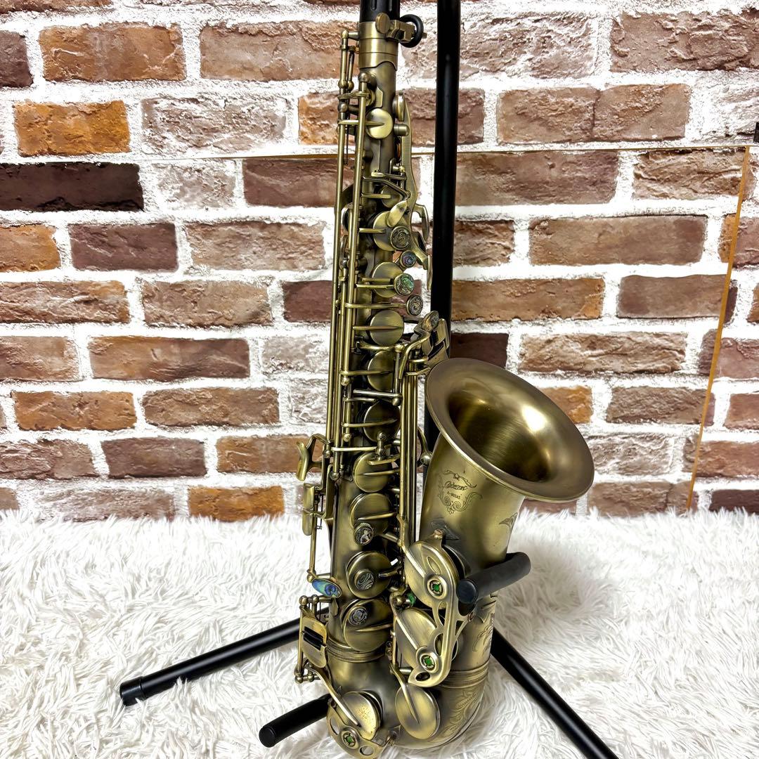 ✨美品✨Cadeson カドソン A-902AS アルトサックスE♭管　ケース付