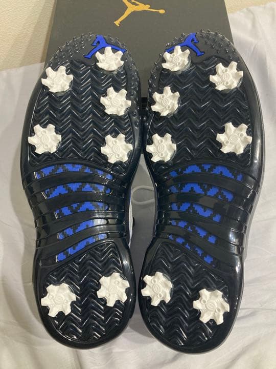 シューズ(男性用) NIKE JORDAN XII G NRG P22