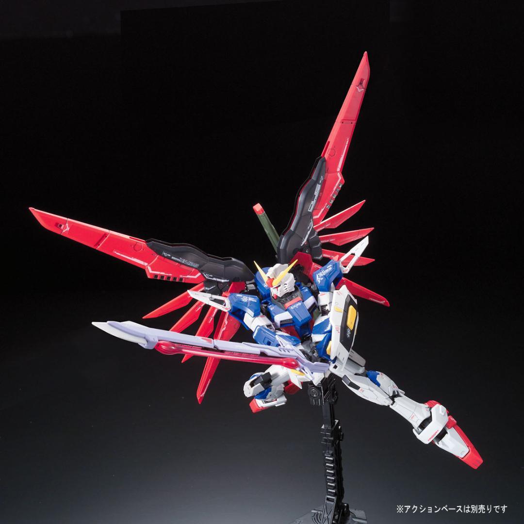 【2品セット】RG GP01Fb フルバーニアン／デスティニーガンダム【新品】