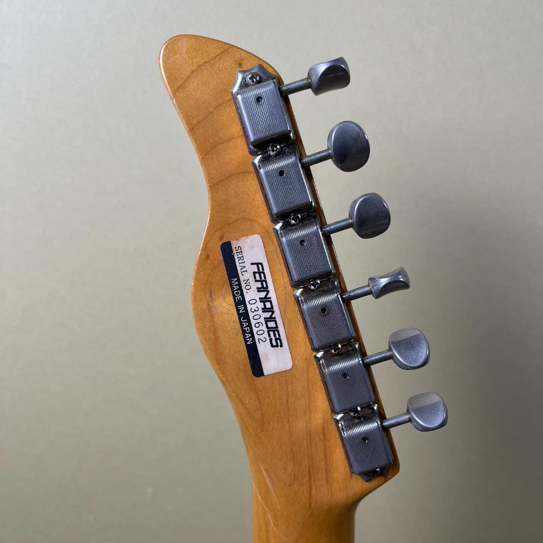 Fernandes TE-1 (Fender Japan TL62B ボディ)
