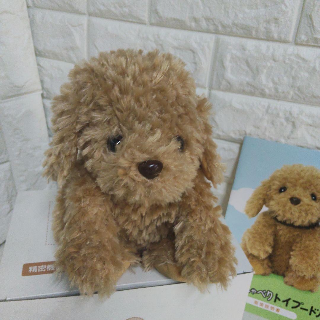 音声認識ぬいぐるみ おしゃべりトイプードル　ショップチャンネル