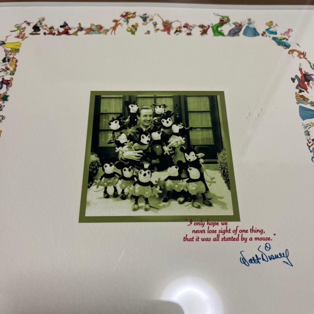 WOLT DISNEY 100周年 記念 250枚 シリアル入