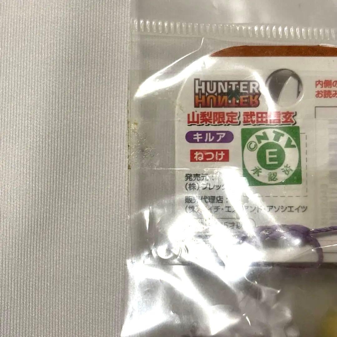 ハンターハンター　ご当地　キーホルダー　ゴン　キルア　クラピカ　レア　富士山