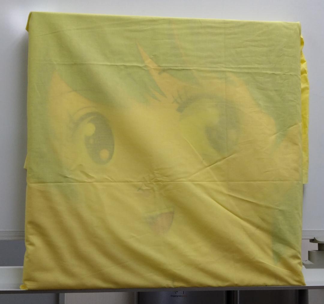 主人公Shujinko