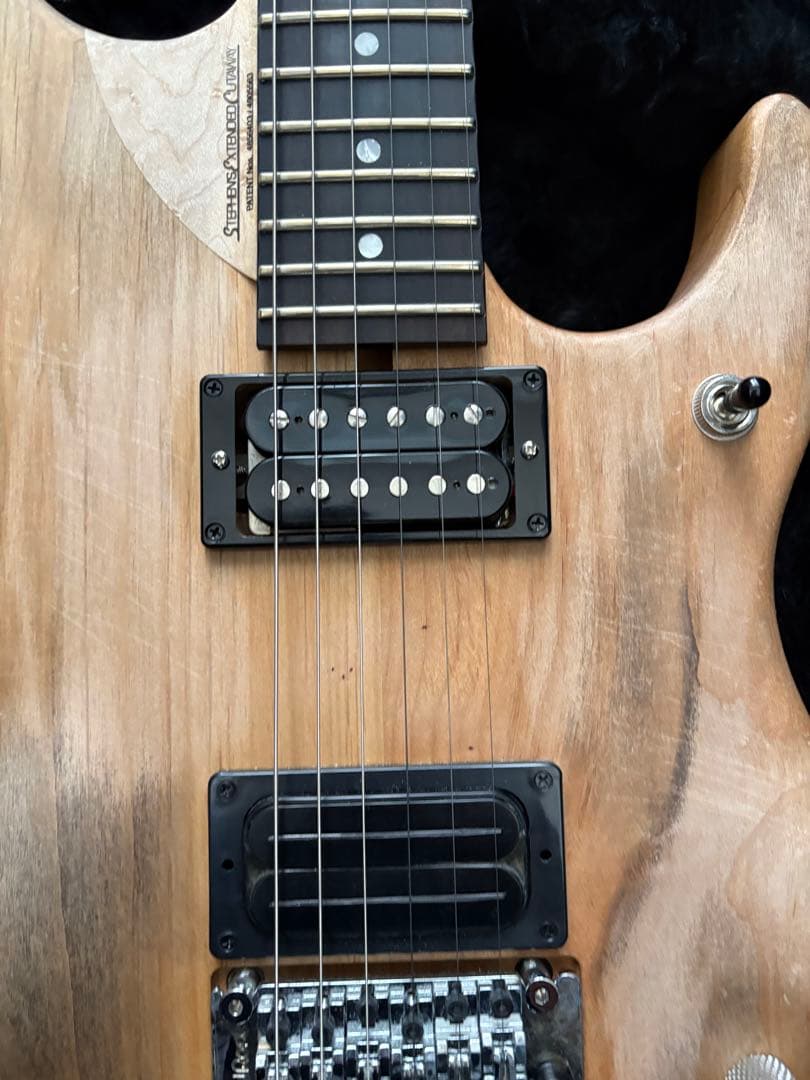 極美品 Washburn N4 Authentic ClipLock付き本人仕様