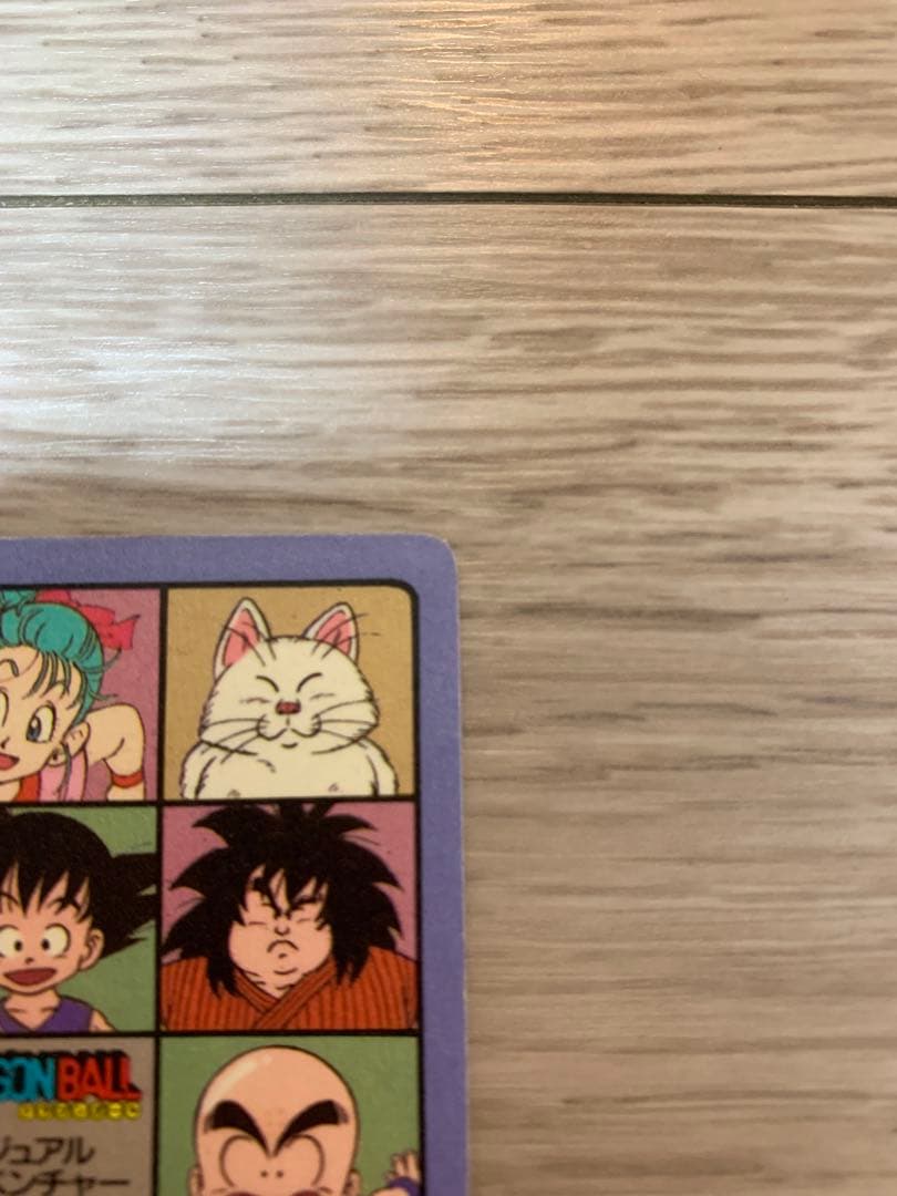 【お値下げ】ドラゴンボール 神龍と悟空　ビジュアルアドベンチャー 44
