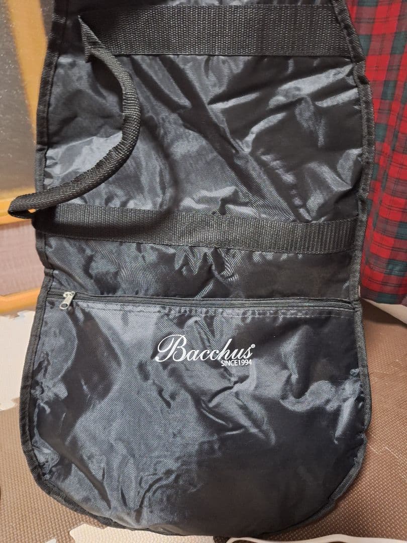 【美品】Bacchus バッカス　ジャズベース