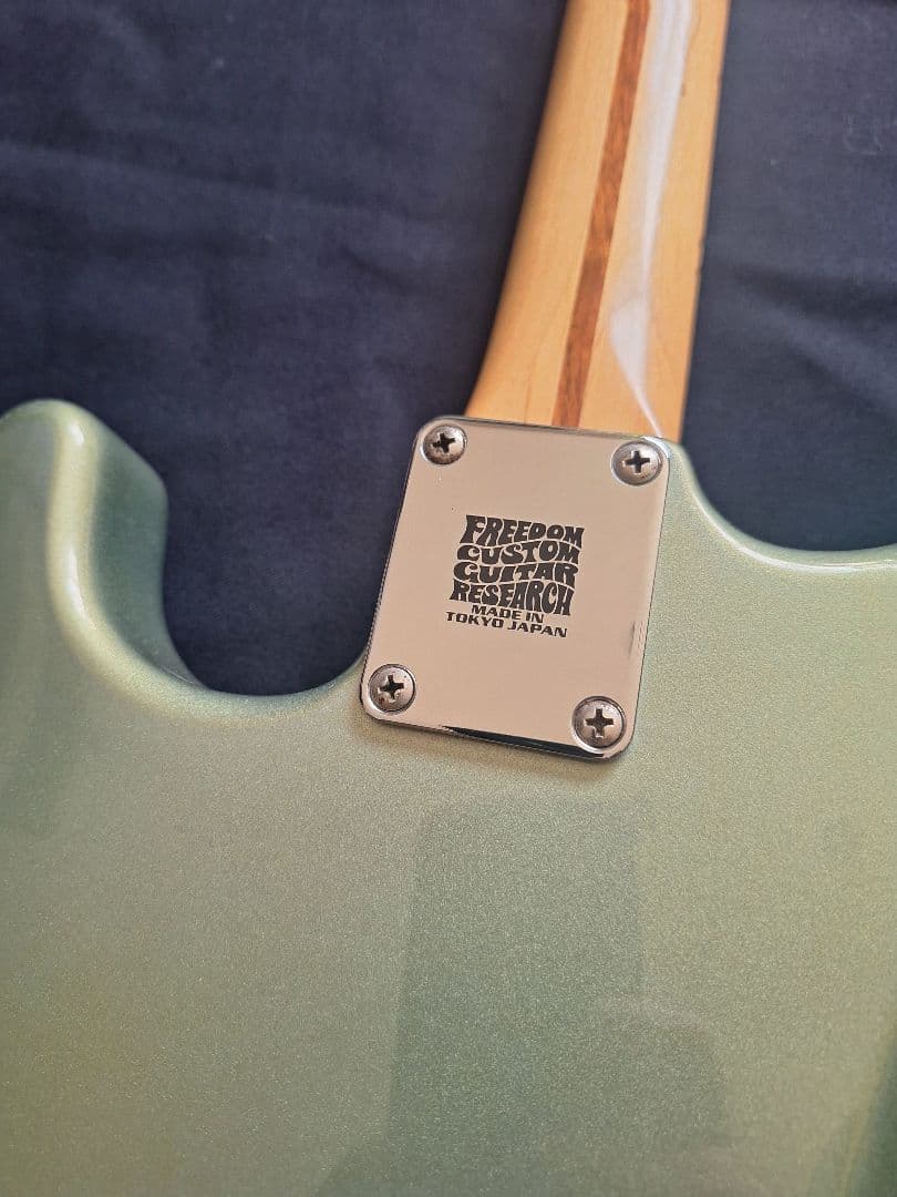 Fender Mexico スタンダード ストラトキャスター D.AllenPU