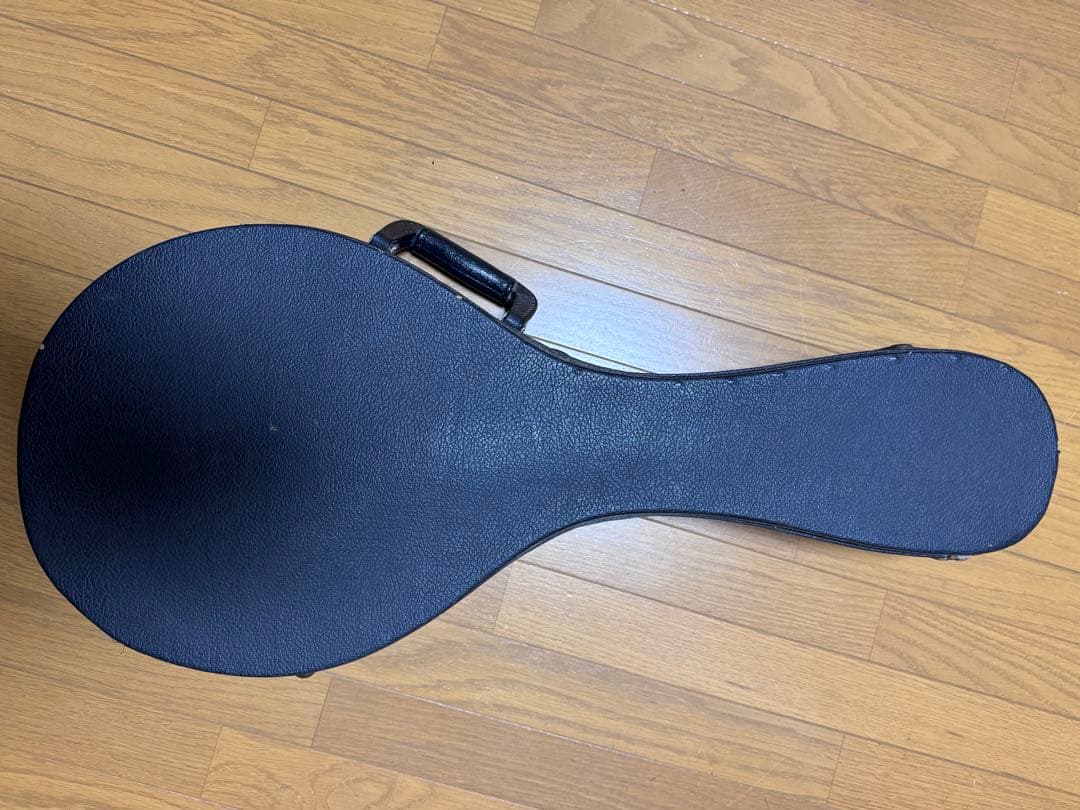 Gibson Mandolin A-5L 1989年