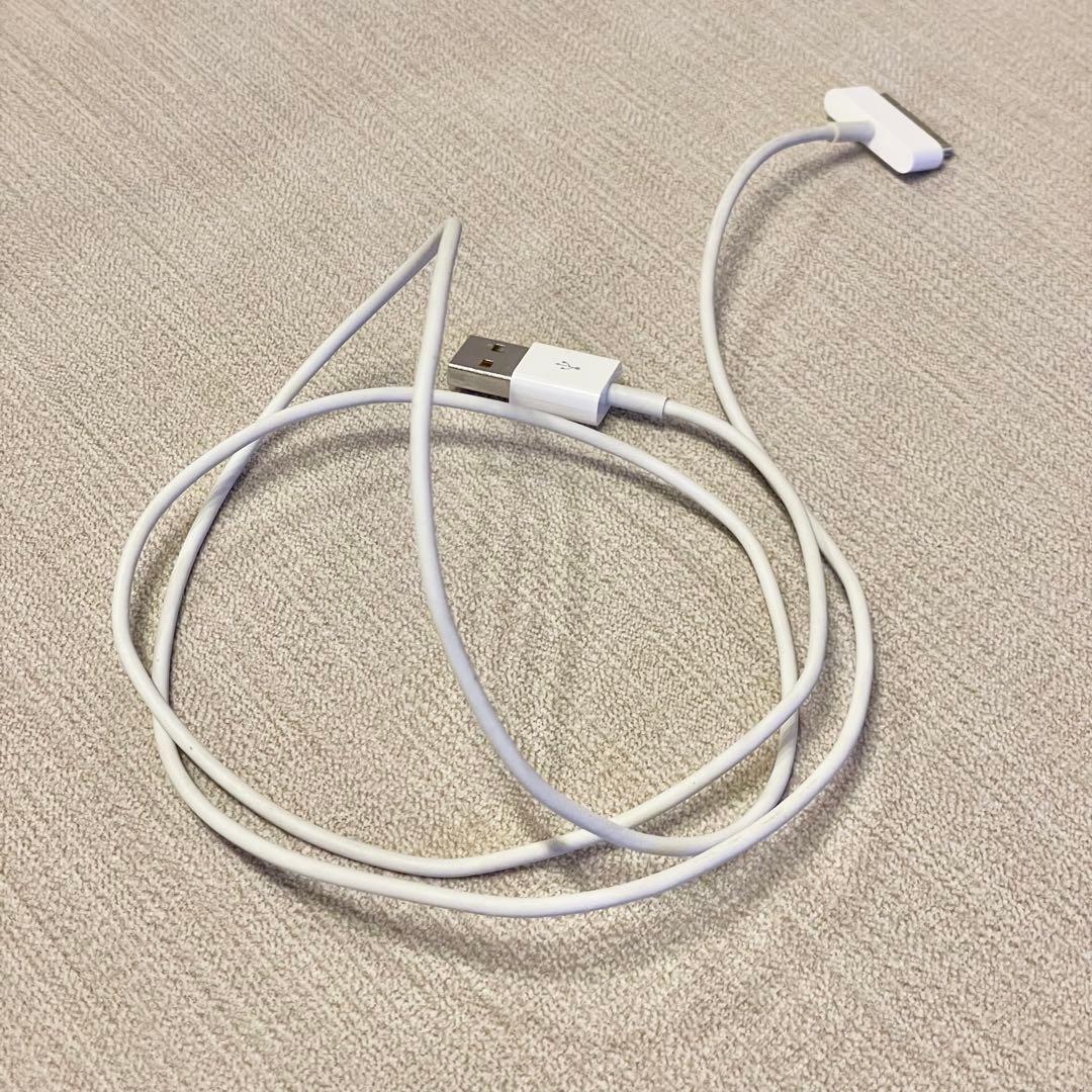 【美品】Apple iPod シルバー USBケーブル付き