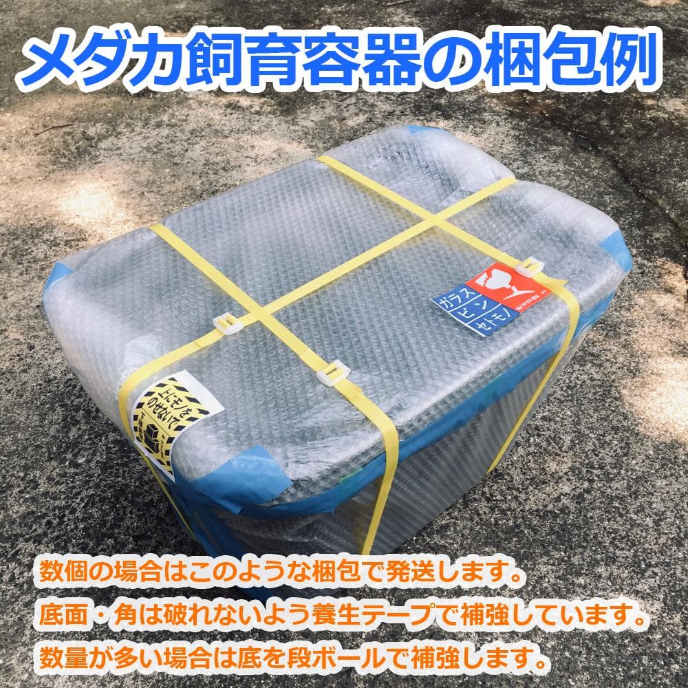 メダカ飼育ケース 35㍑黒x5個 オーバーフロー 金魚飼育容器 めだか飼育容器