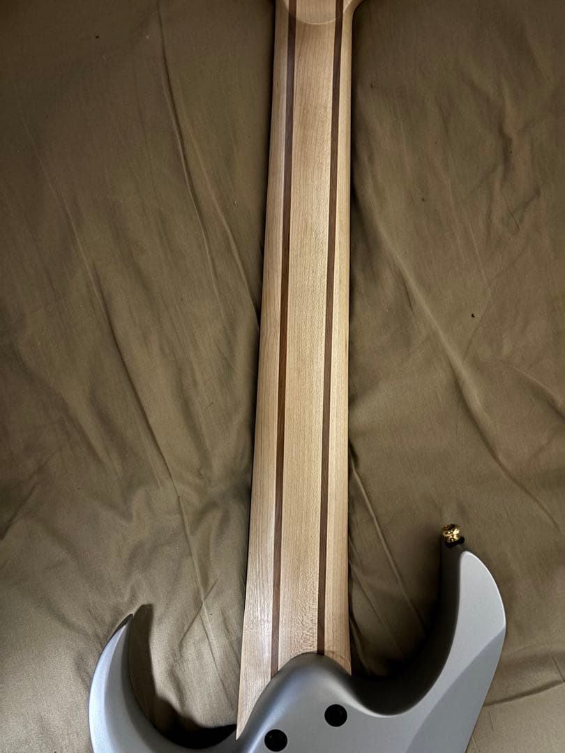 Ibanez RGDMS8 8弦エレキギター