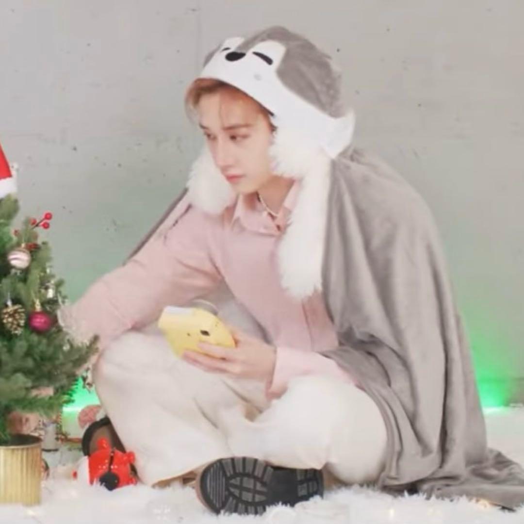 Straykids バンチャン　ウルフチャン まとめ売り　スキズ