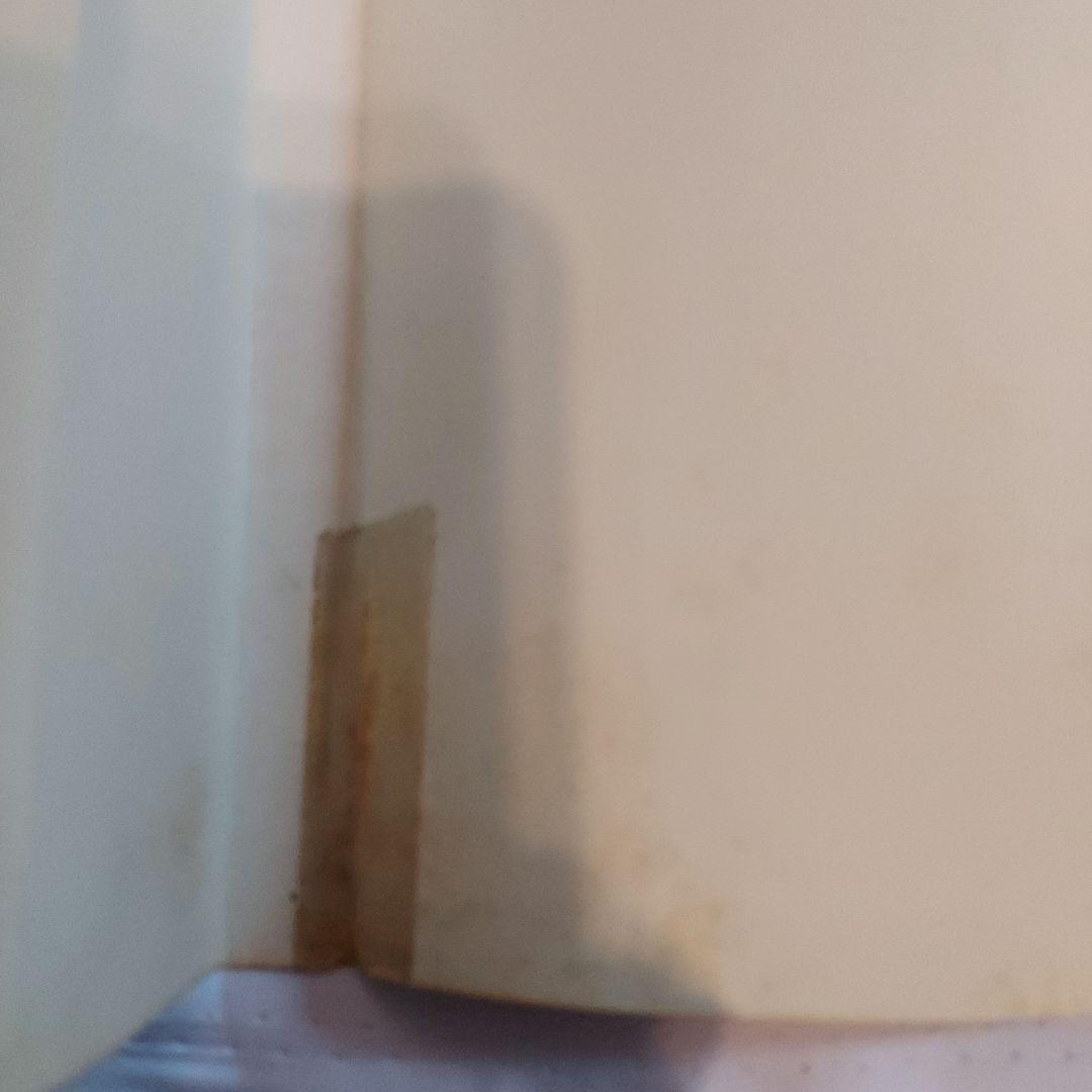 はみだしっ子　全13巻+ロングアゴー+ラスト・ショー+夕暮れの旅　三原　順