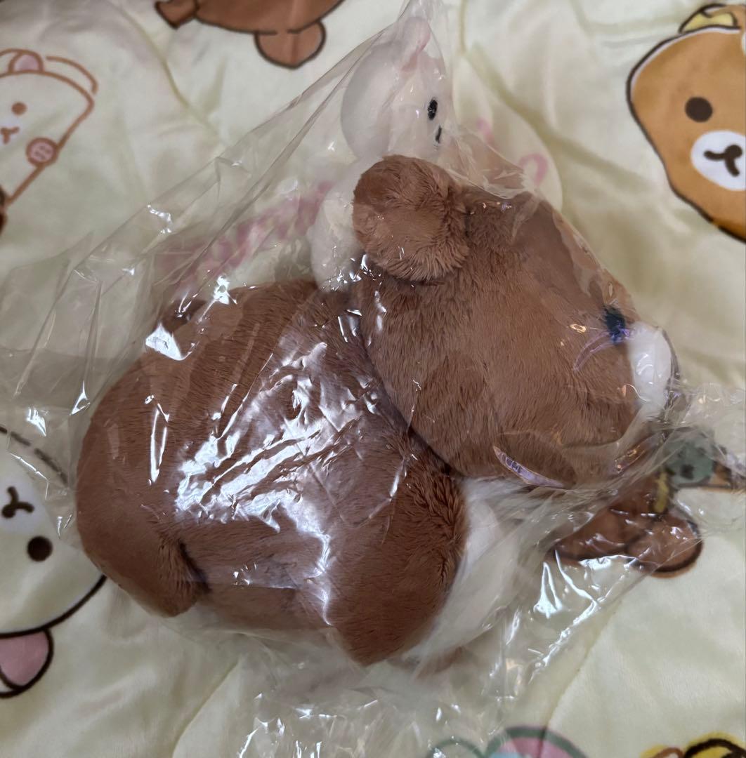リラックマストア限定 チャイロイコグマの夢ぬいぐるみ