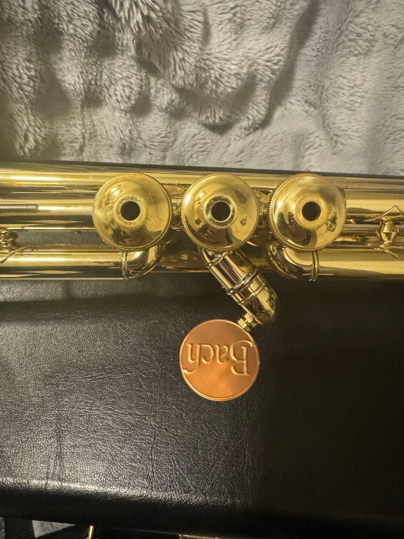 Bach トランペット　NEW YORK #7 GOLD ハードケース付き
