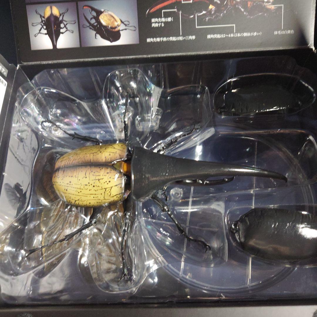 生き物大図鑑プレミアム ヘラクレスヘラクレス・ヘラクレス・リッキー 2匹セット
