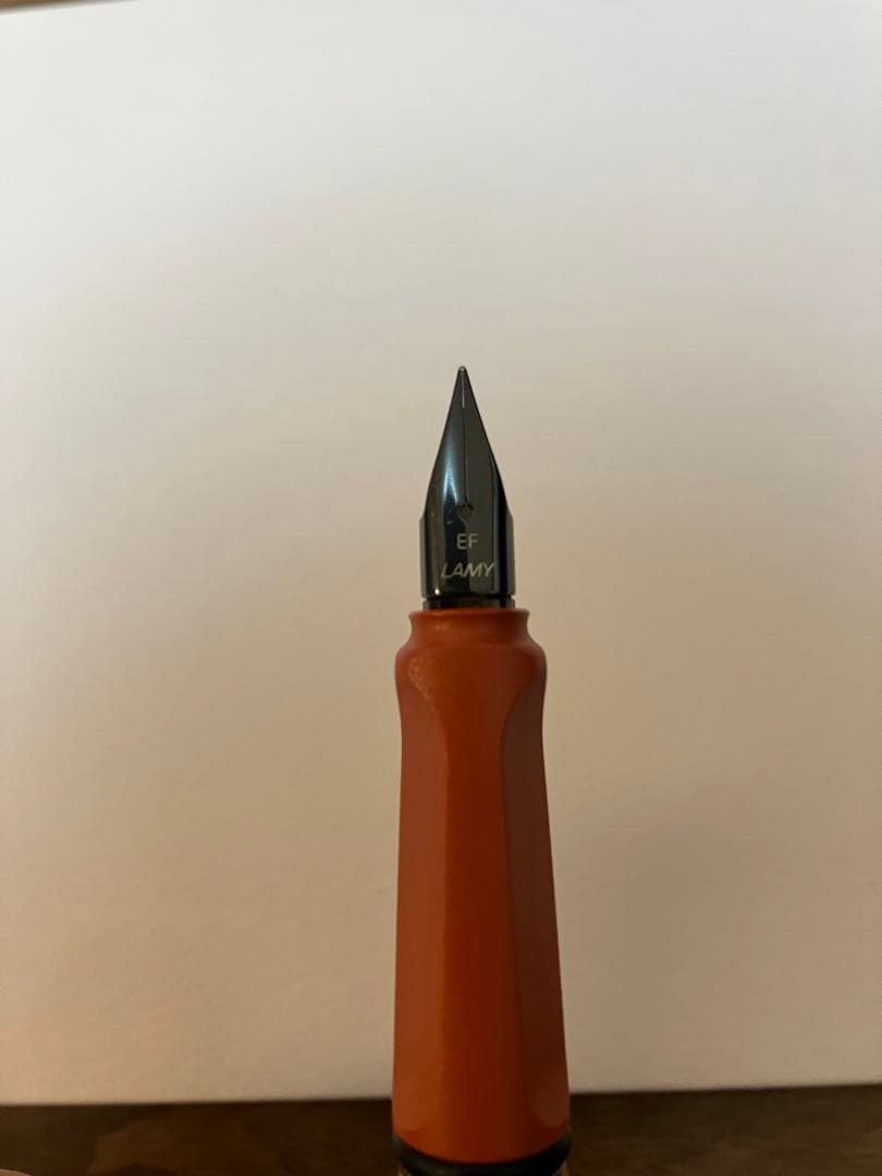 LAMY ラミー　サファリ　限定　EF