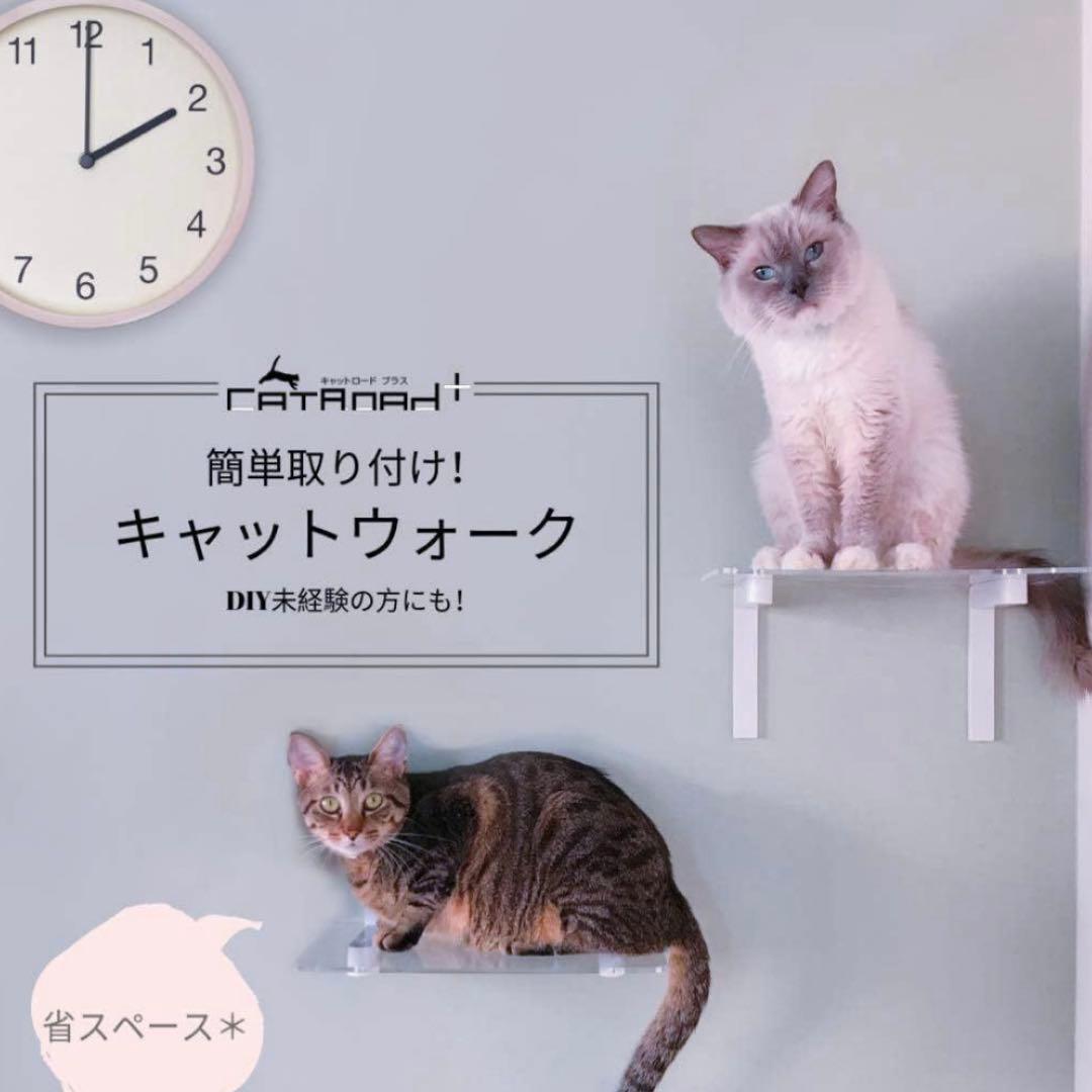 animacolle アニマコレ キャットステップ 2つセット