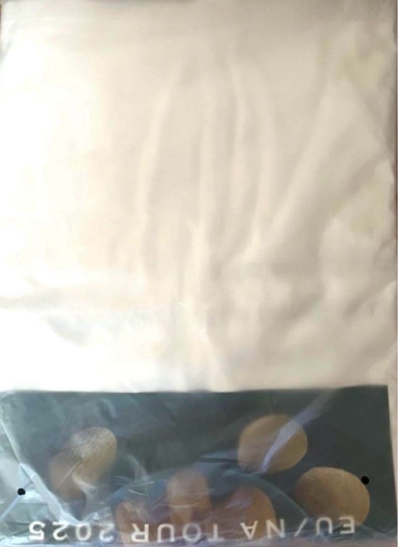 藤井風 ポテチTシャツ (Salt) サイズ XL ポテトf Tシャツ