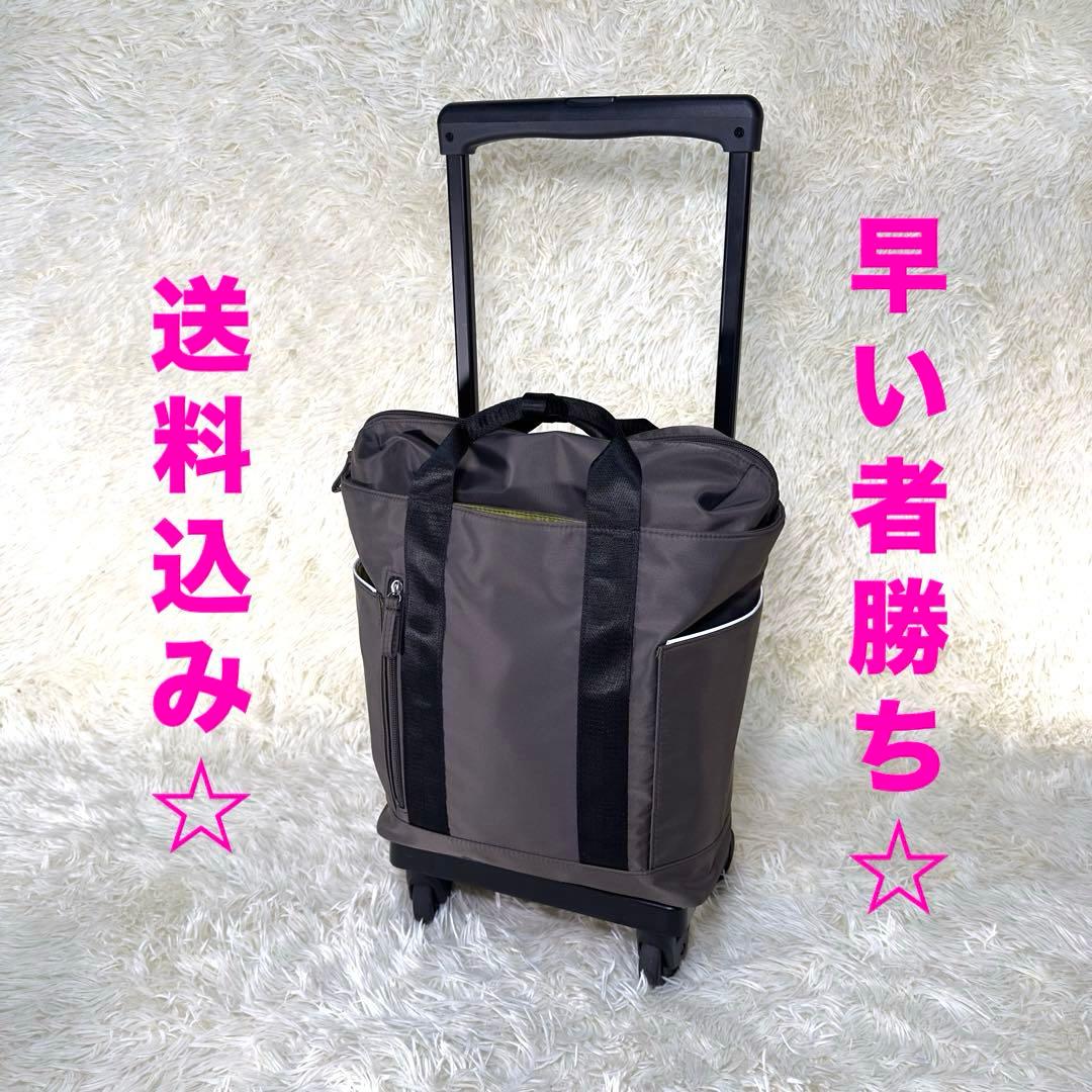 SWANYキャリーバック　スワニー