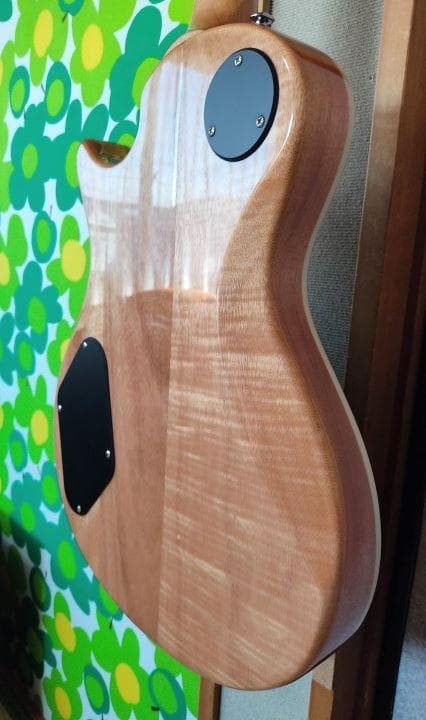 PRS SE ZACH MYERS　ザック・マイヤーズ モデル