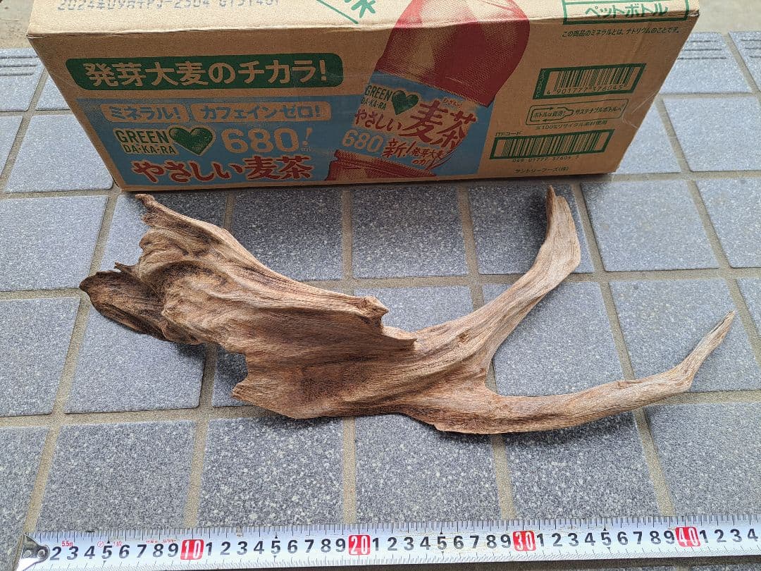 流木