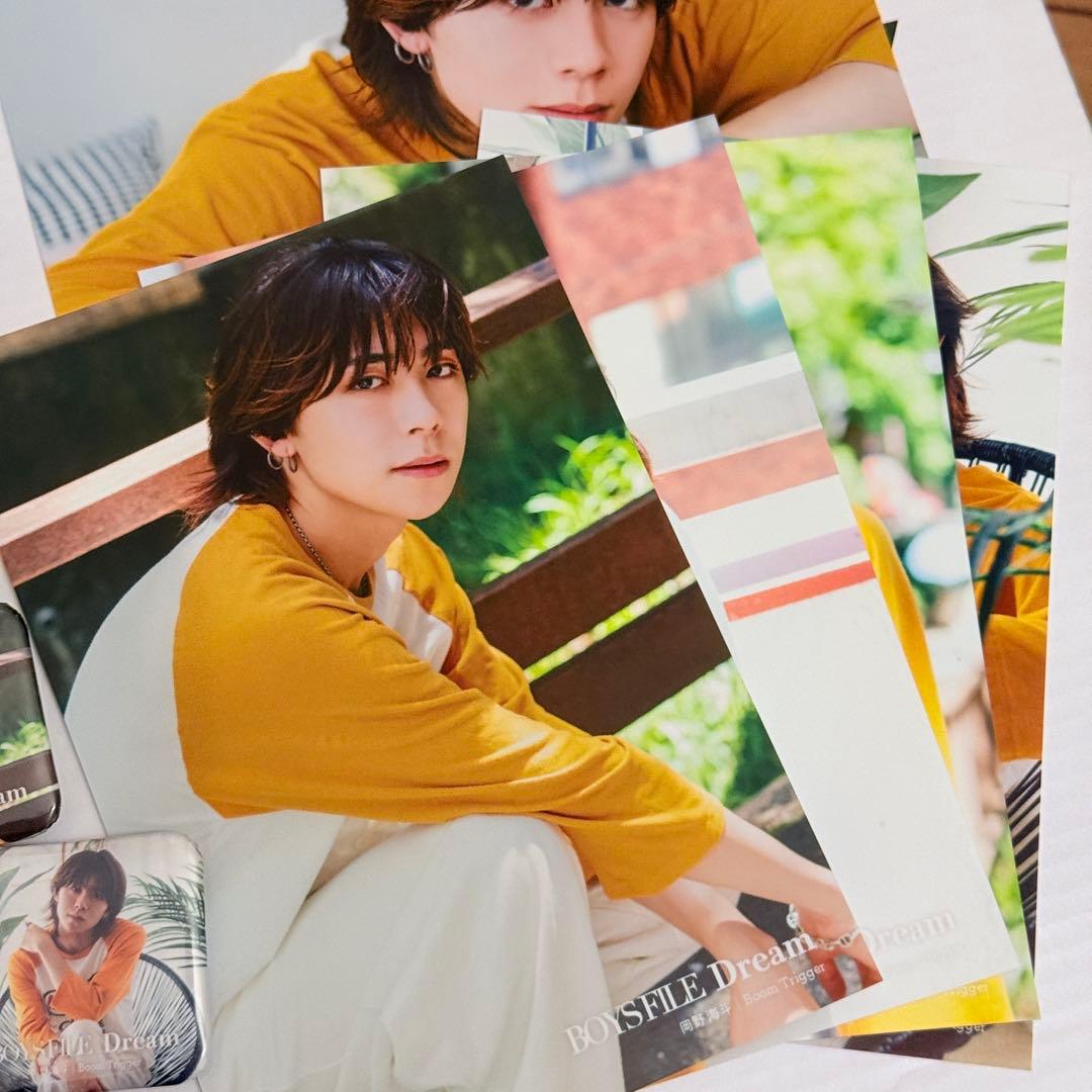 BOYS FILE Dream Vol.10 岡野海斗セット