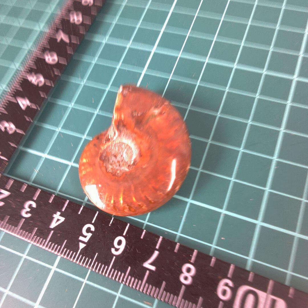 小物１ オレンジ色 アンモナイト化石