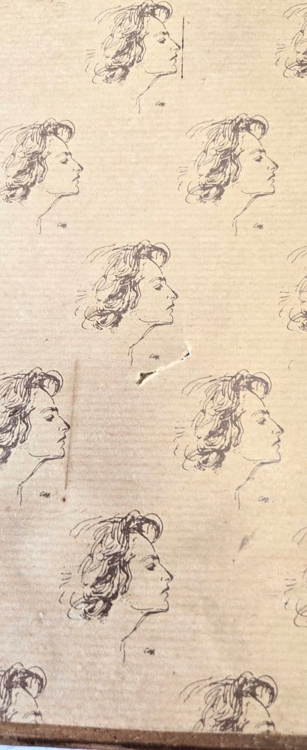 ユリの水彩画 1864年制作