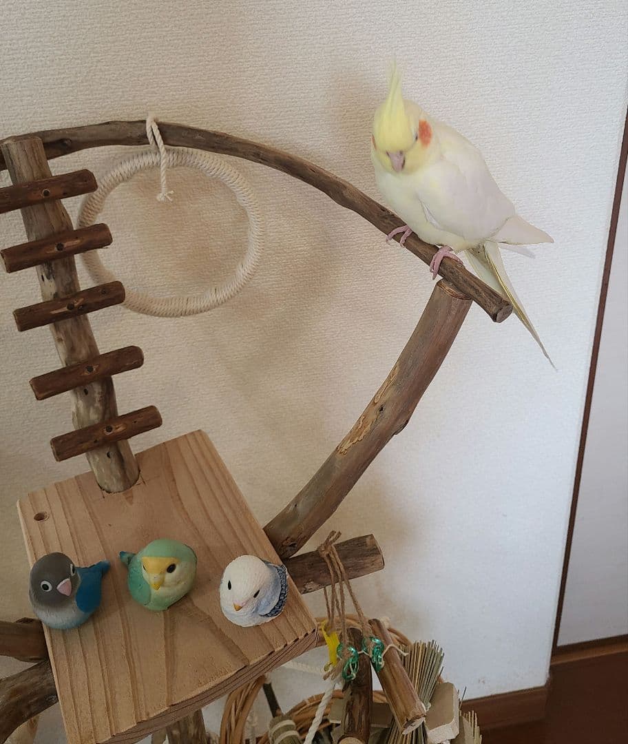② ukiオーダーページ　ハンドメイド　流木　アスレチック