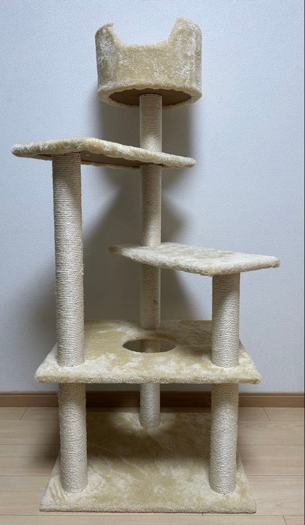 はち