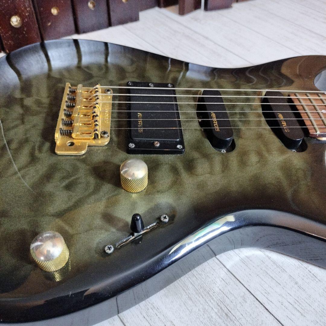ギター FERNANDES