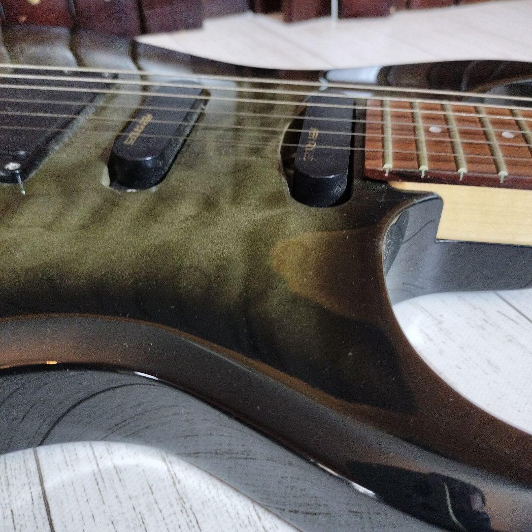 ギター FERNANDES