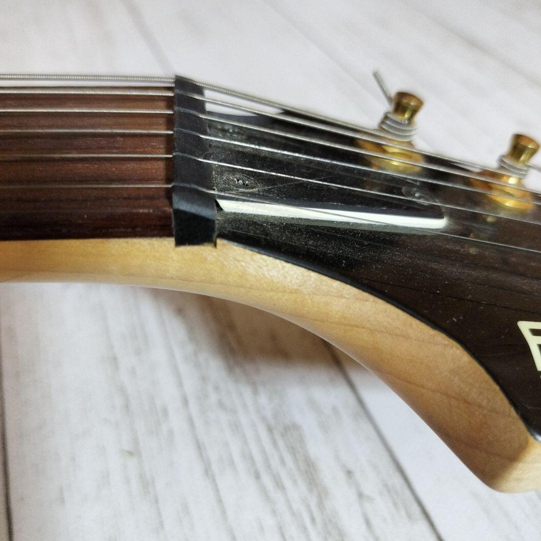 ギター FERNANDES