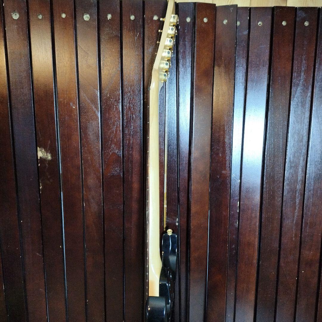 ギター FERNANDES