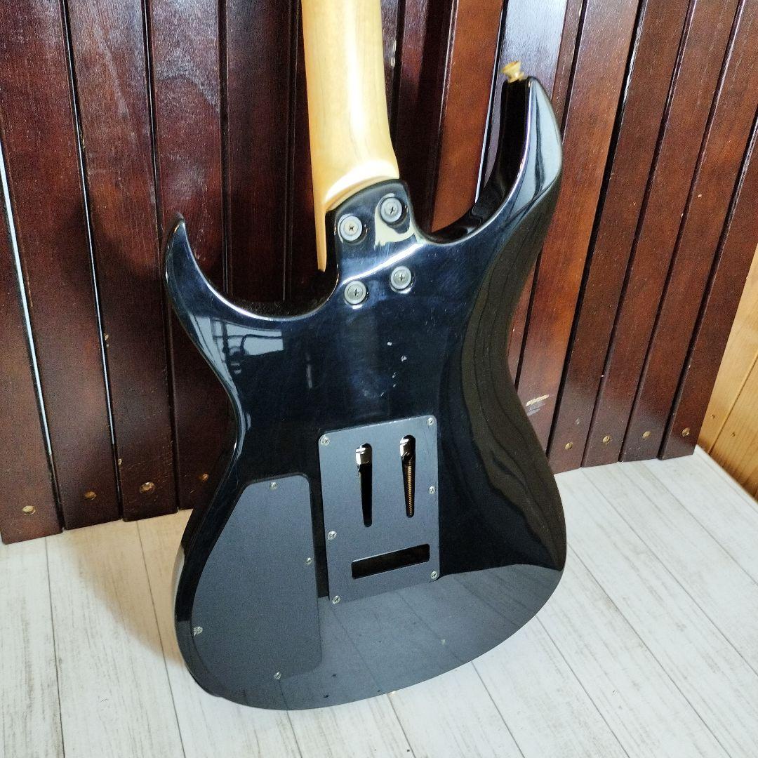 ギター FERNANDES