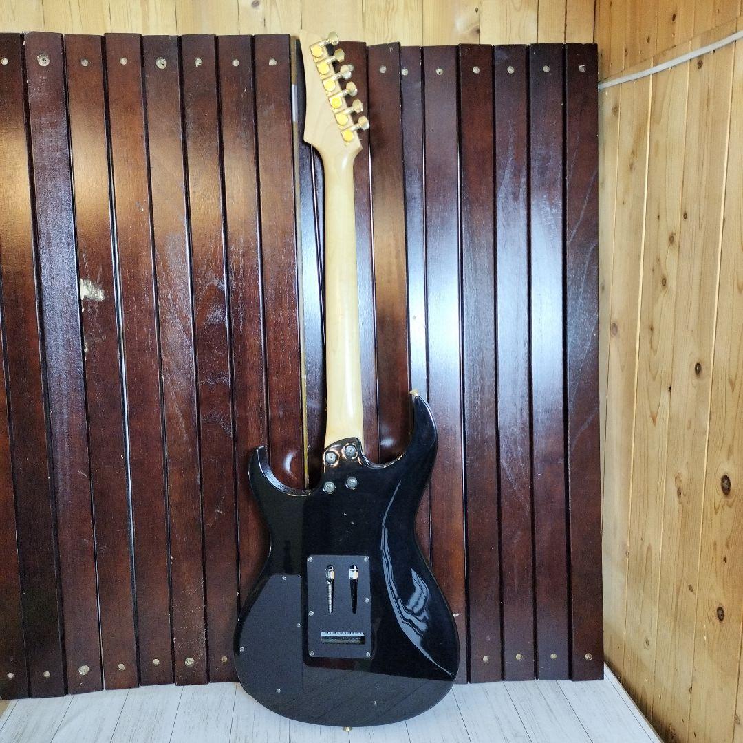 ギター FERNANDES