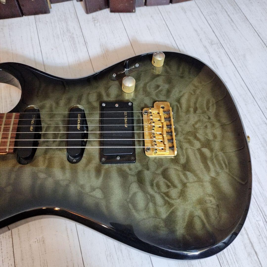 ギター FERNANDES