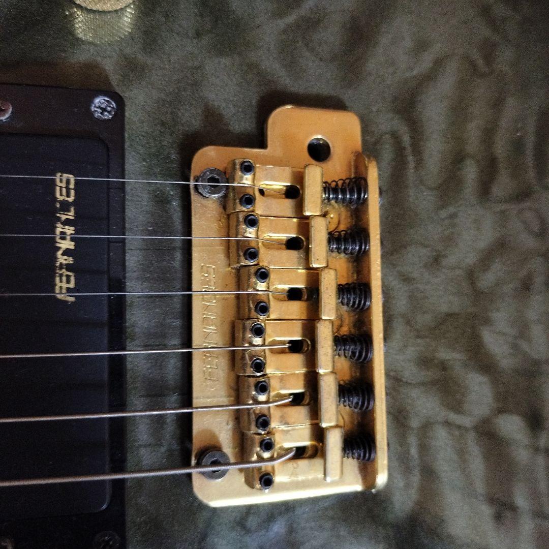ギター FERNANDES