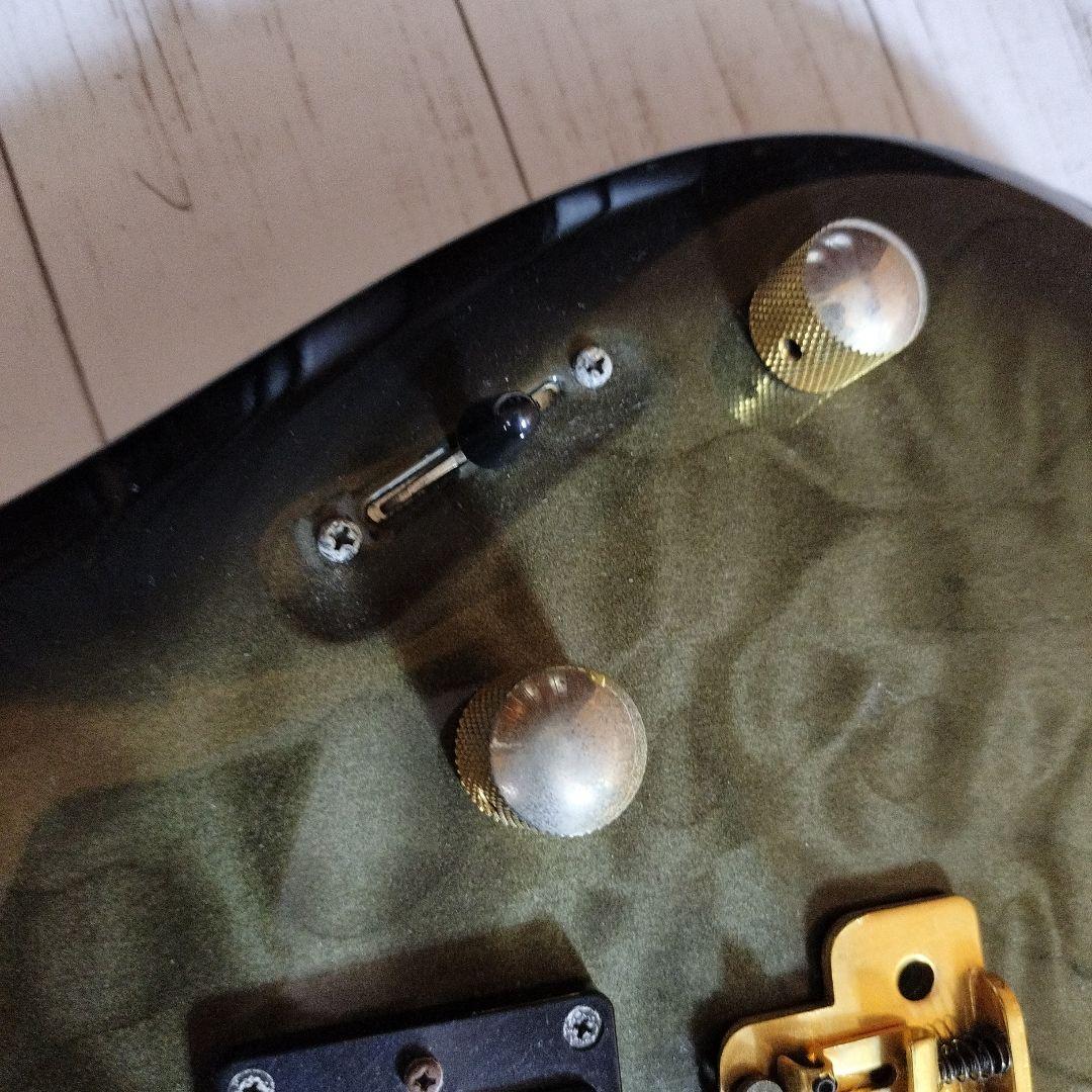 ギター FERNANDES
