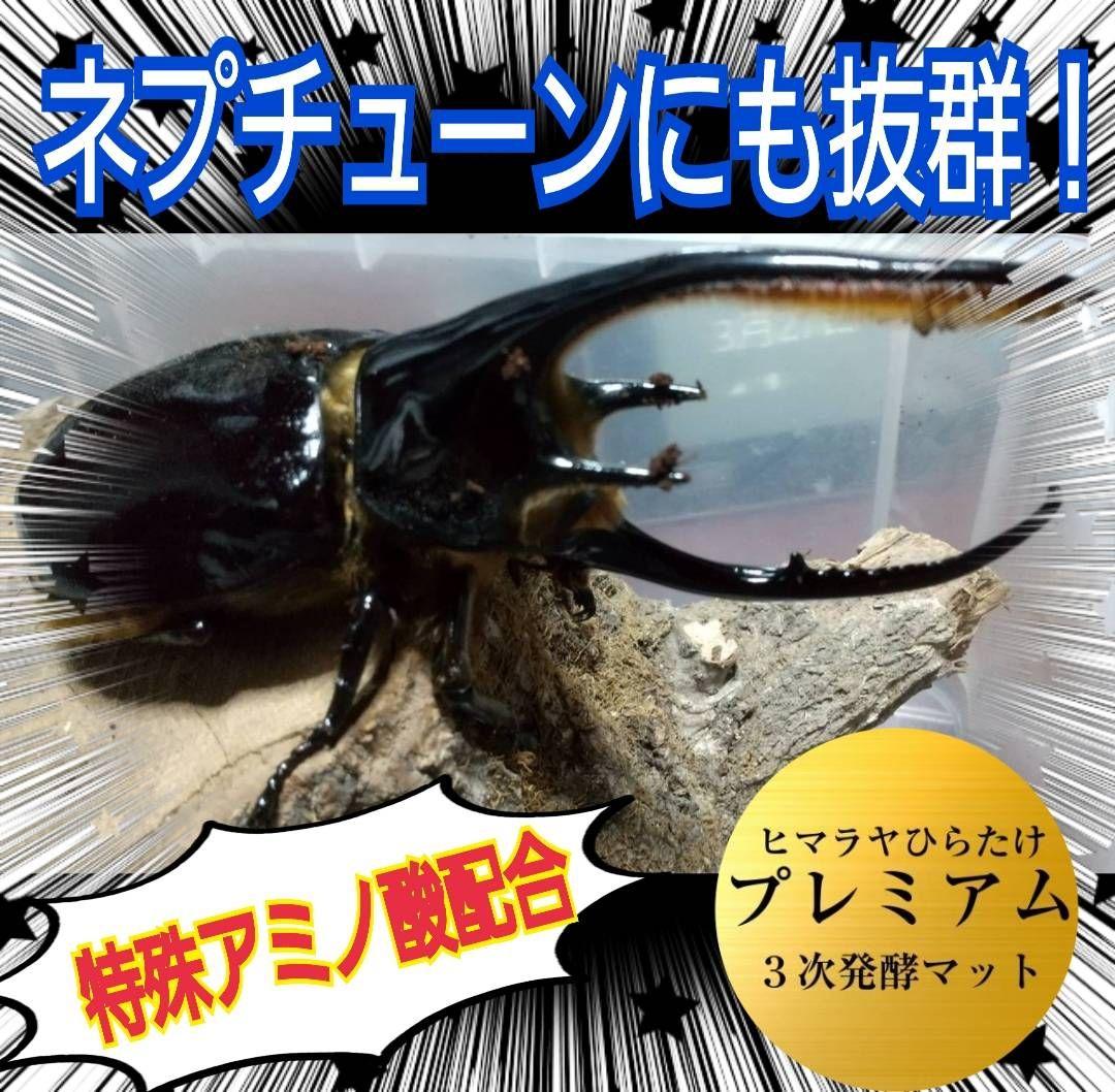 極上！プレミアム3次発酵ヘラクレスマット【4袋セット】幼虫巨大化！産卵にも抜群