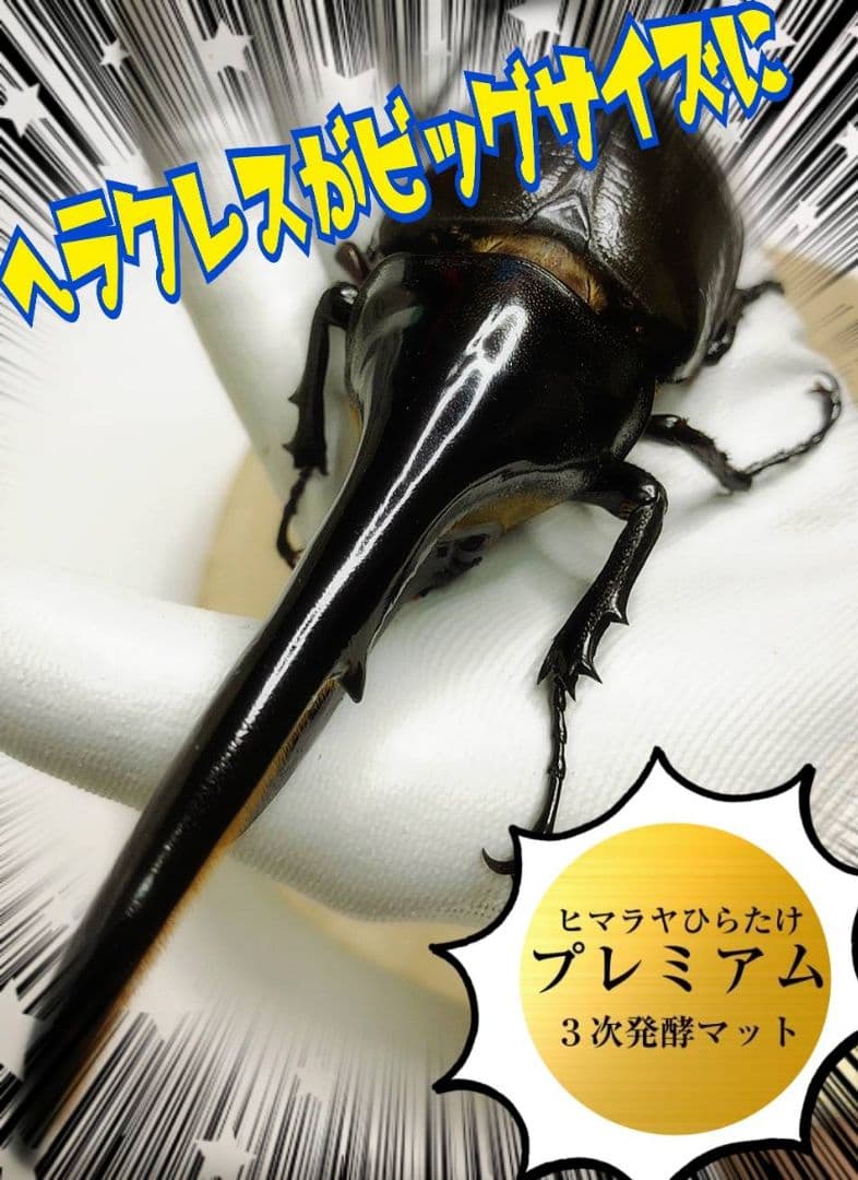 極上！プレミアム3次発酵ヘラクレスマット【4袋セット】幼虫巨大化！産卵にも抜群